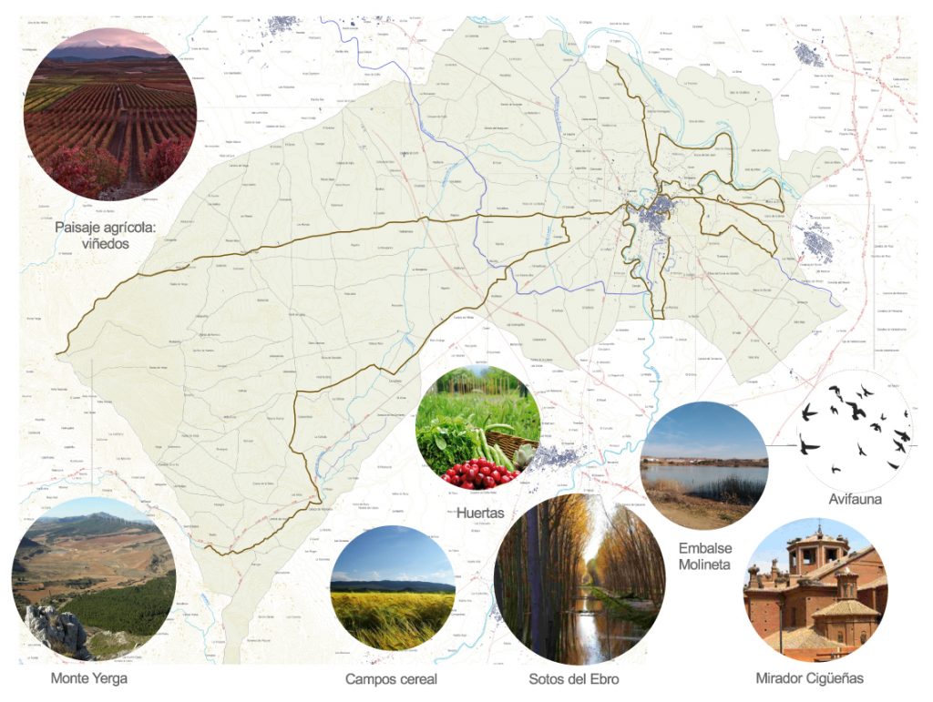 Ámbito de actuación