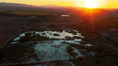 Atardecer en el carrizal de cofín