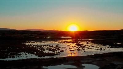 atardecer en el carrizal