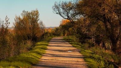Camino en el mazón