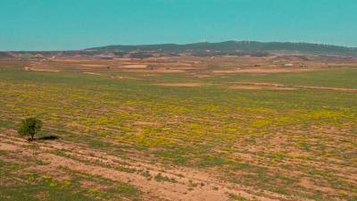 Prados de la Estepa de Rihuelo